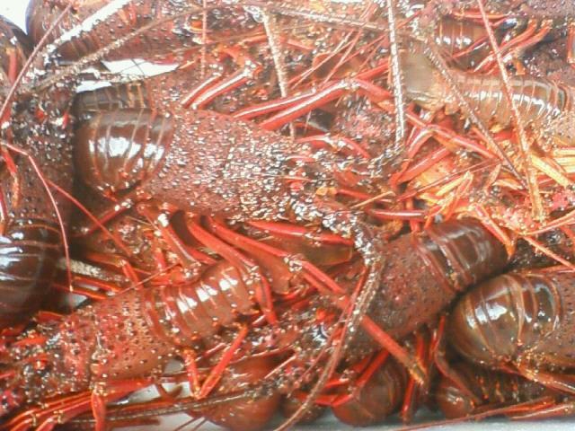 료칸 우오한 유오가와라 외부 사진